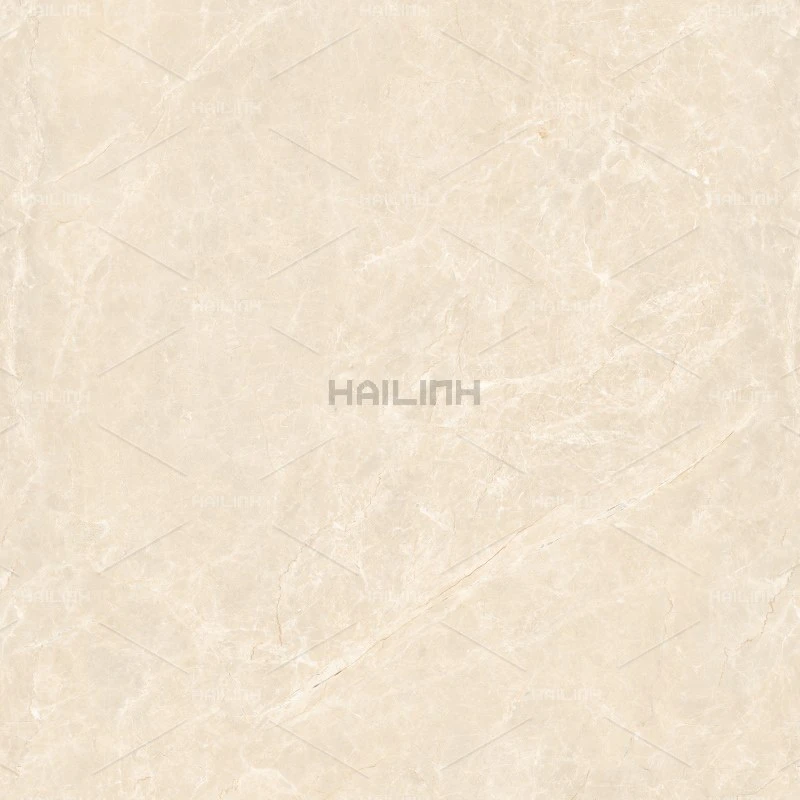 Ảnh Gạch Ấn Độ CSI88191 1