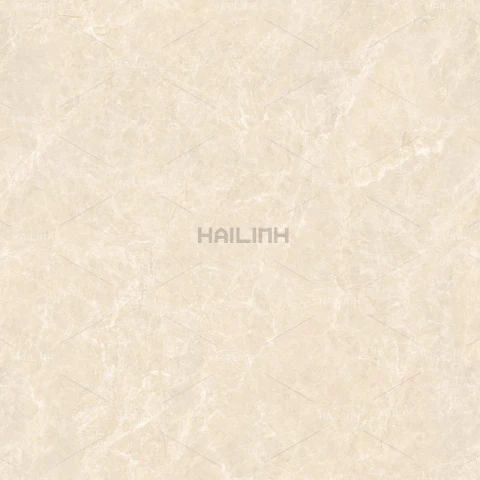 Ảnh Gạch Ấn Độ CSI88191 5
