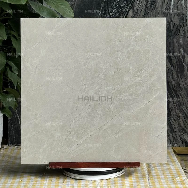 Ảnh Gạch Ấn Độ CSI88191 6