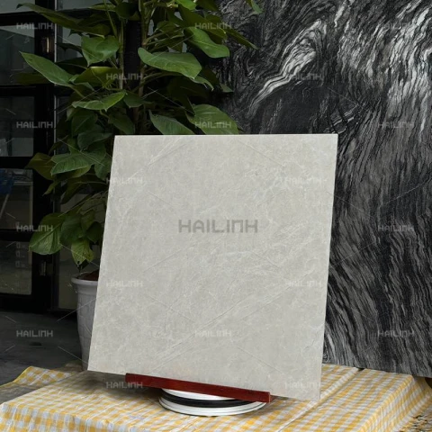 Ảnh Gạch Ấn Độ CSI88191 7