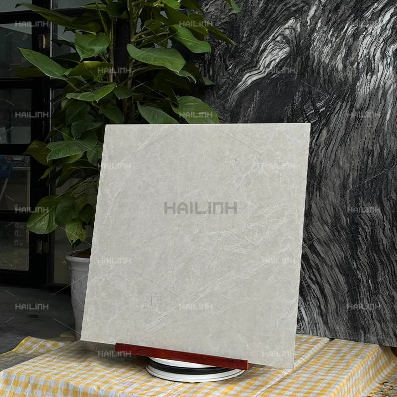 Ảnh Gạch Ấn Độ CSI88191 7