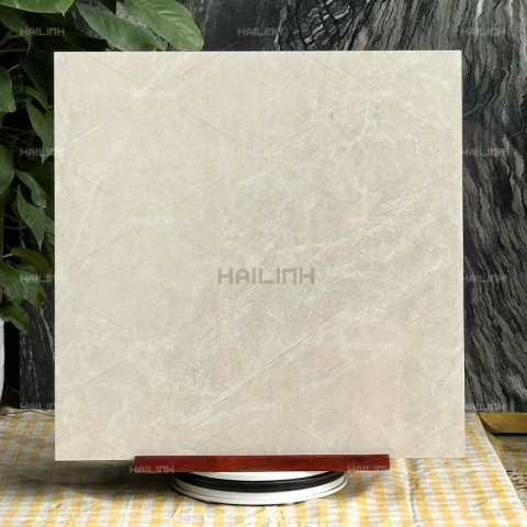 Ảnh Gạch Ấn Độ CSI88191 8