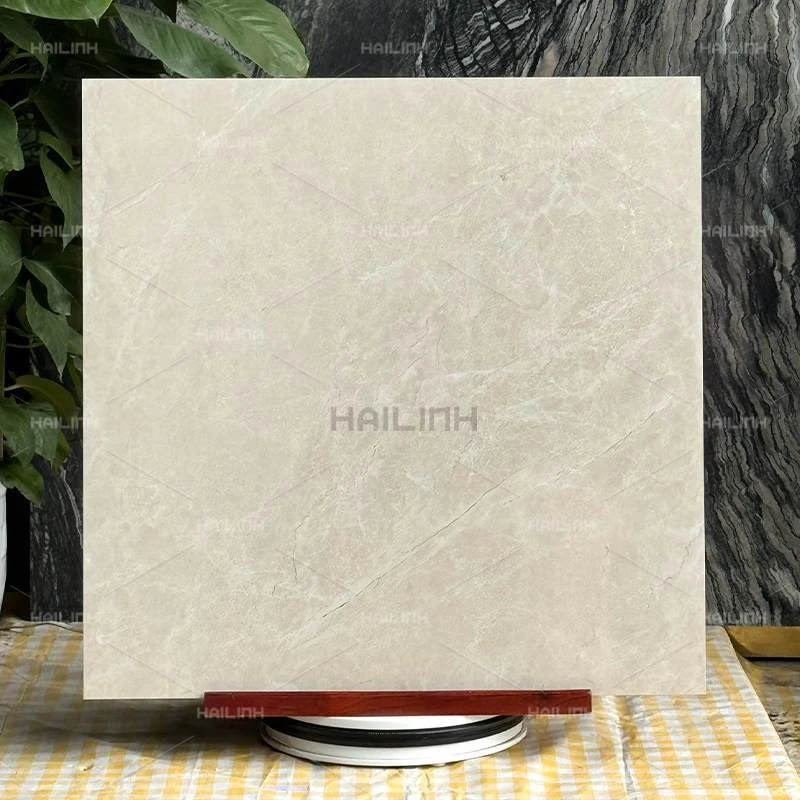 Ảnh Gạch Ấn Độ CSI88191 8