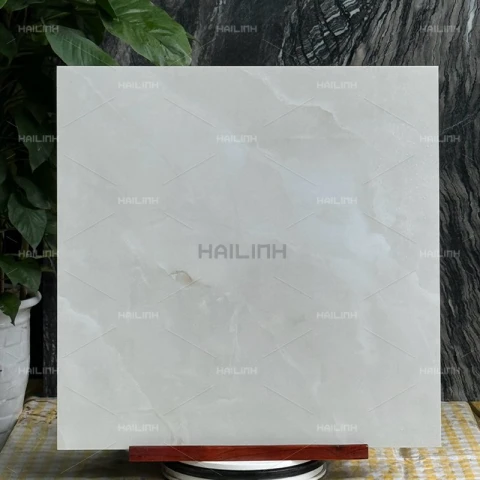 Ảnh Gạch Ấn Độ CSI88192 6