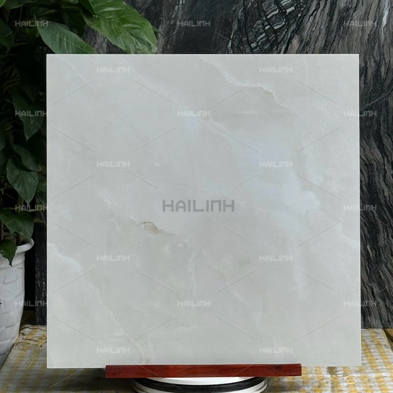 Ảnh Gạch Ấn Độ CSI88192 6