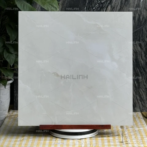 Ảnh Gạch Ấn Độ CSI88192 7