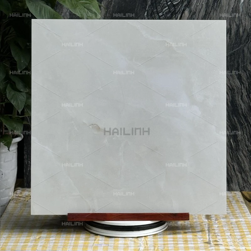 Ảnh Gạch Ấn Độ CSI88192 7