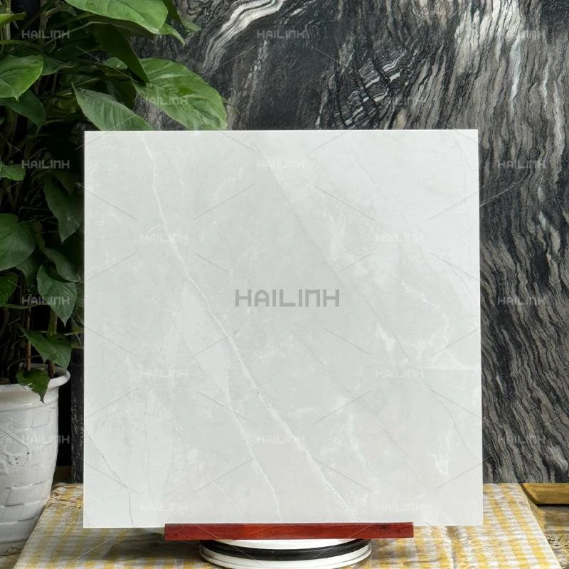 Ảnh Gạch Ấn Độ CSI88193 6