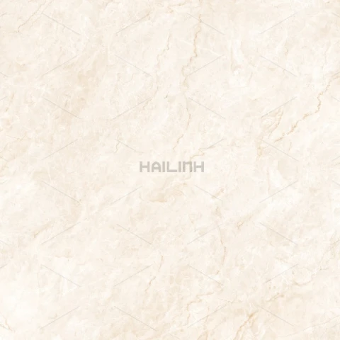 Ảnh Gạch Ấn Độ CSI88194 3