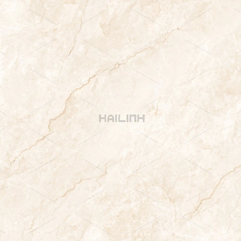 Ảnh Gạch Ấn Độ CSI88194 1