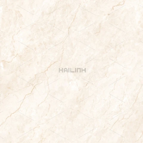 Ảnh Gạch Ấn Độ CSI88194 4