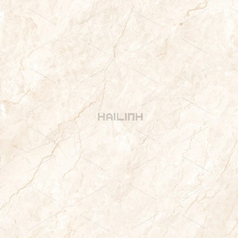 Ảnh Gạch Ấn Độ CSI88194 4