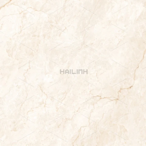 Ảnh Gạch Ấn Độ CSI88194 5