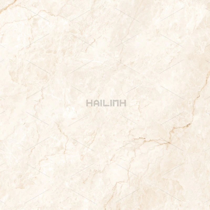 Ảnh Gạch Ấn Độ CSI88194 5