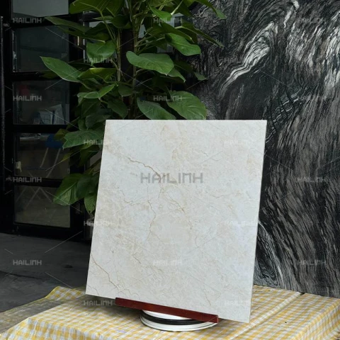 Ảnh Gạch Ấn Độ CSI88194 6