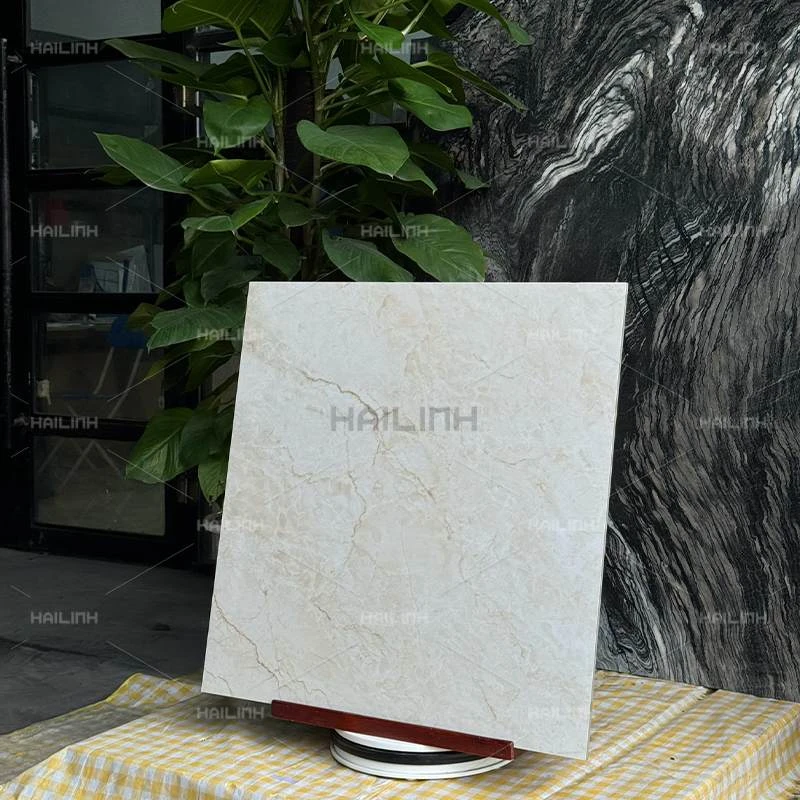 Ảnh Gạch Ấn Độ CSI88194 6