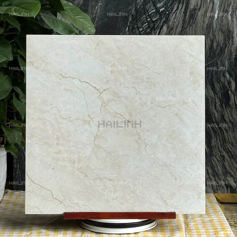Ảnh Gạch Ấn Độ CSI88194 7