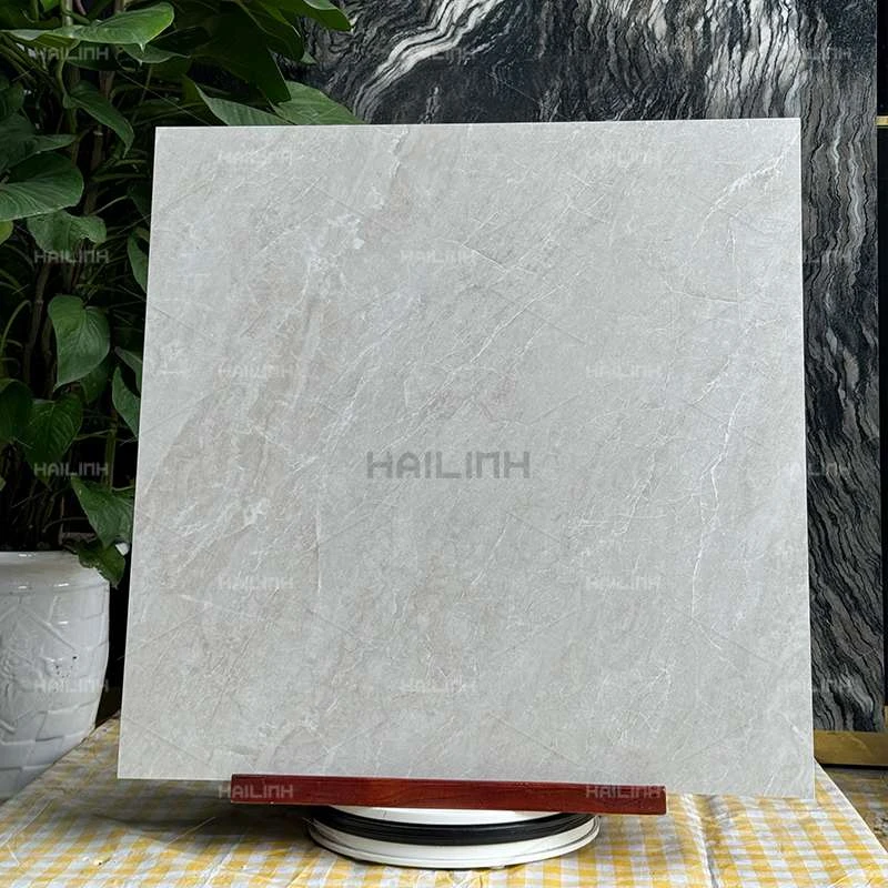 Ảnh Gạch Ấn Độ CSI88195 6