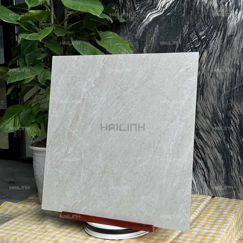 Ảnh Gạch Ấn Độ CSI88195 7