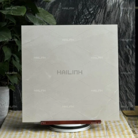 Ảnh Gạch Ấn Độ CSI88196 6