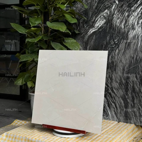 Ảnh Gạch Ấn Độ CSI88196 8