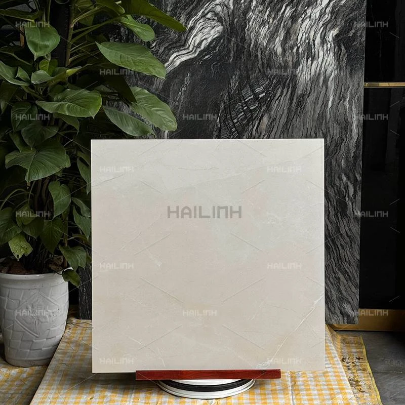 Ảnh Gạch Ấn Độ CSI88196 7