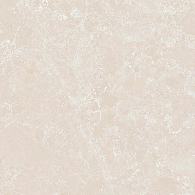 Ảnh Gạch Ấn Độ CSI100203B 2