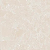 Gạch Ấn Độ CSI100203B 3