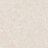 Gạch Ấn Độ CSI100203B 4