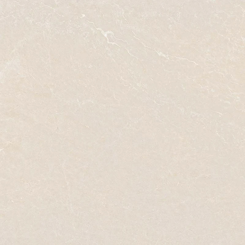 Ảnh Gạch Ấn Độ CSI100207B 3