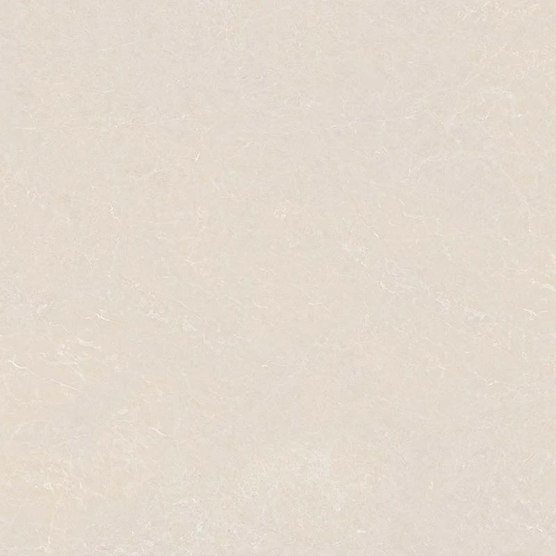 Ảnh Gạch Ấn Độ CSI100207B 4