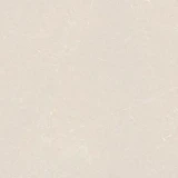 Gạch Ấn Độ CSI100207B 2