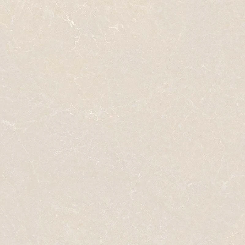 Ảnh Gạch Ấn Độ CSI100207B 6