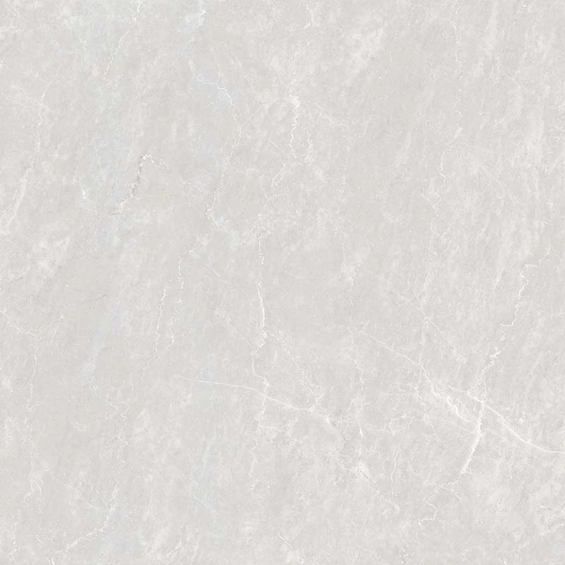 Ảnh Gạch Ấn Độ CSI100208B 3