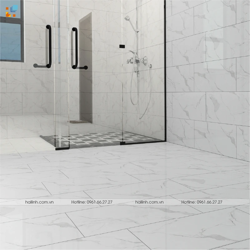 Ảnh Gạch Ấn Độ CSI36112 4