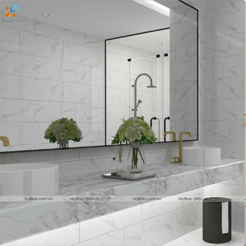 Ảnh Gạch Ấn Độ CSI36112 3
