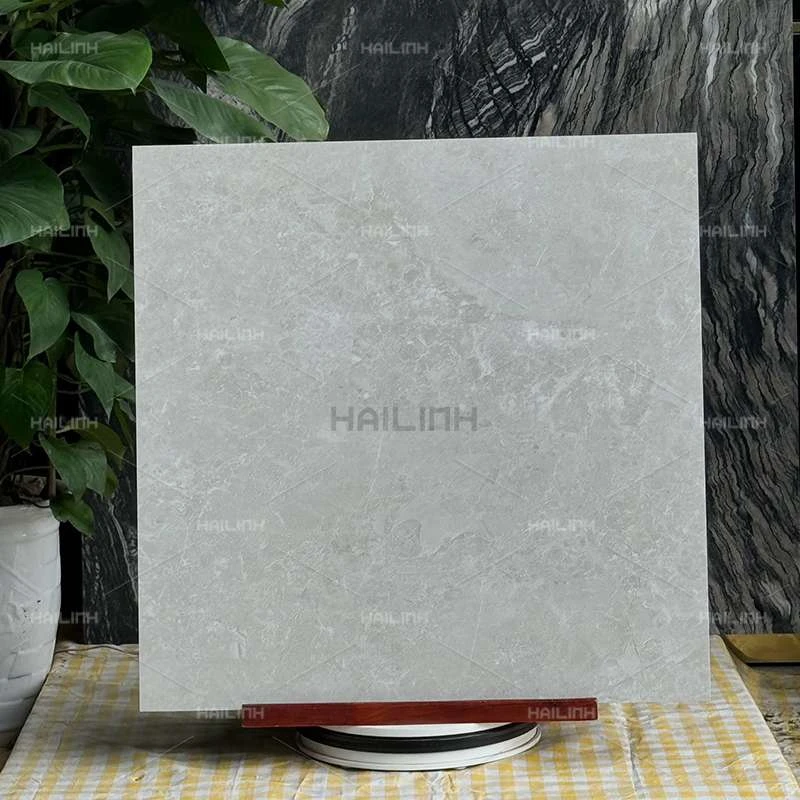Ảnh Gạch Ấn Độ CSI88183 7