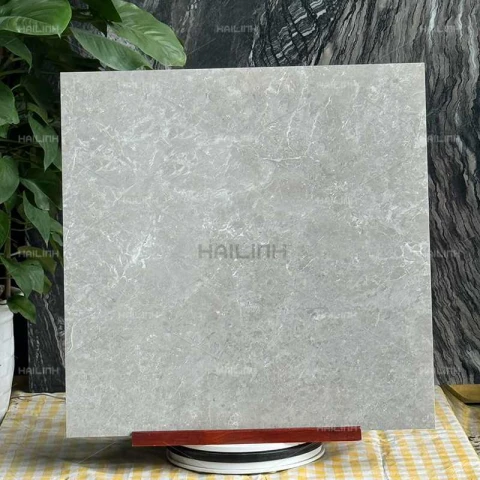 Ảnh Gạch Ấn Độ CSI88184 6