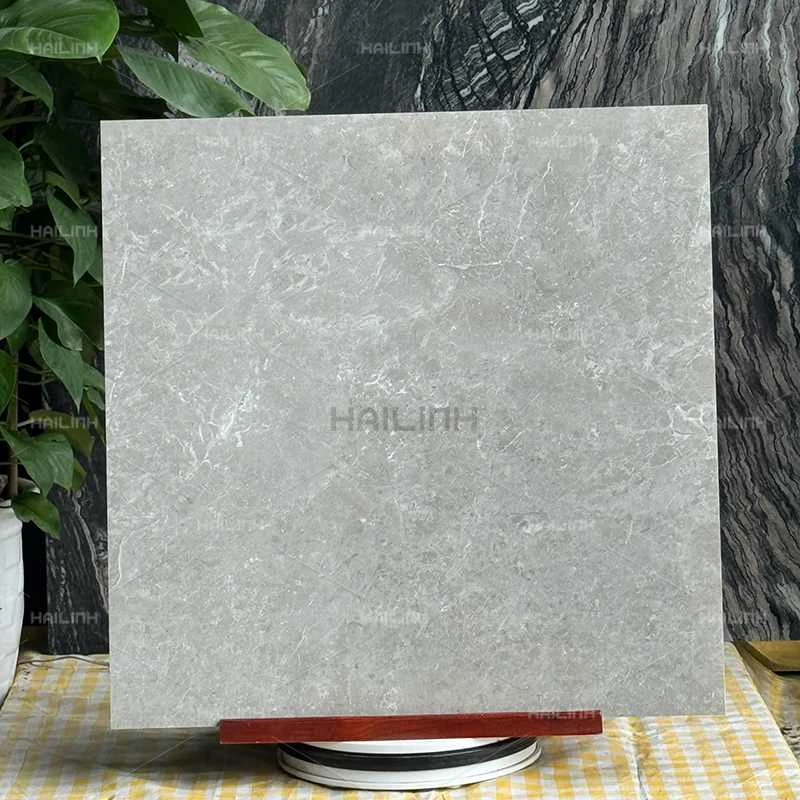Ảnh Gạch Ấn Độ CSI88184 6