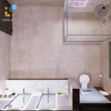 Gạch Ấn Độ HLAD6112111 3