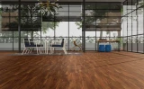 Gạch Viglacera CL-GK15901 3