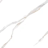 Gạch CMC CGD1010001S2 1