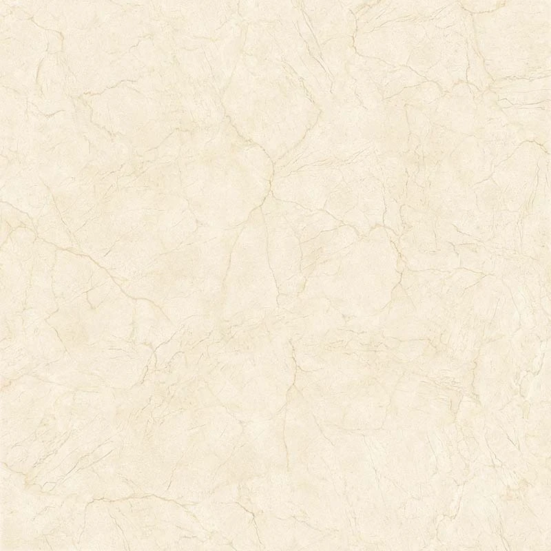 Gạch CMC CGD1010007S3
