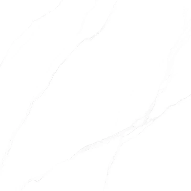 Ảnh Gạch CMC CPD11001S5 2