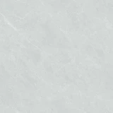 Gạch CMC CPD11002S5 2