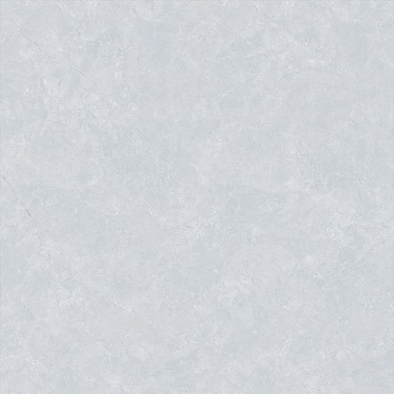 Ảnh Gạch CMC RPD11025S5 2