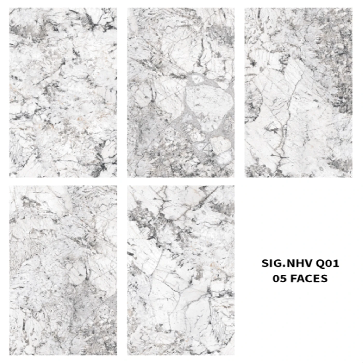 face gach eurotile nha vi sig nhv q01