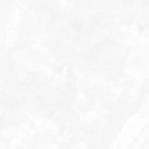 Ảnh Gạch Eurotile DNI S01P 5