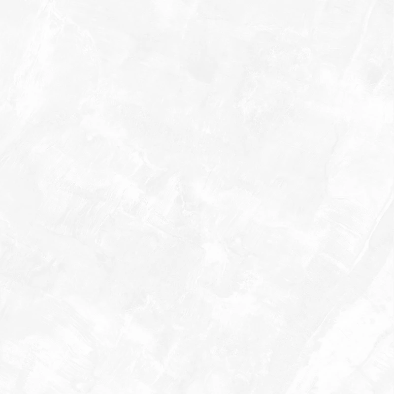 Ảnh Gạch Eurotile DNI S01P 5