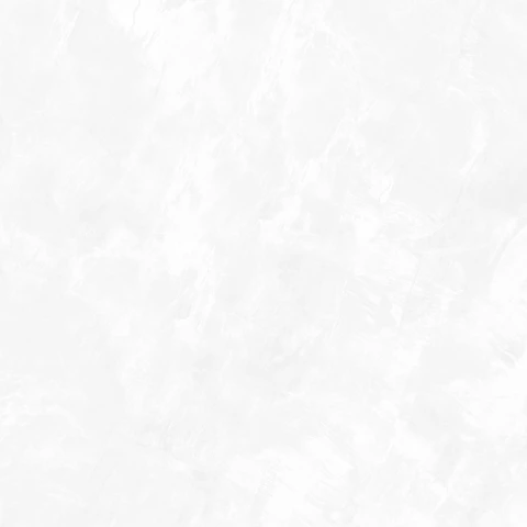 Ảnh Gạch Eurotile DNI S01P 3
